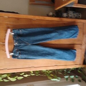 177 Levi's Strauss And Co.